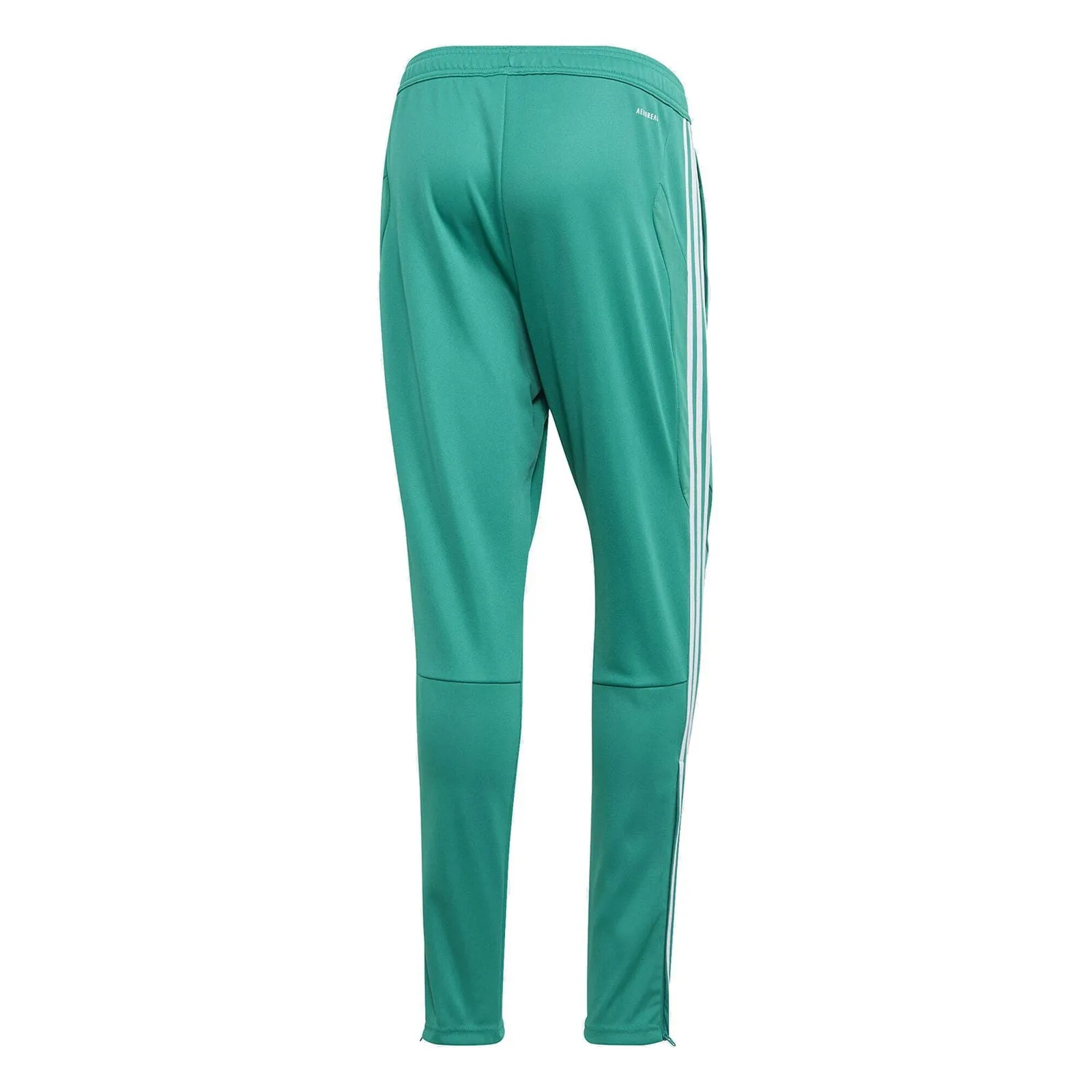 adidas Tiro 19 Training Pants - Green