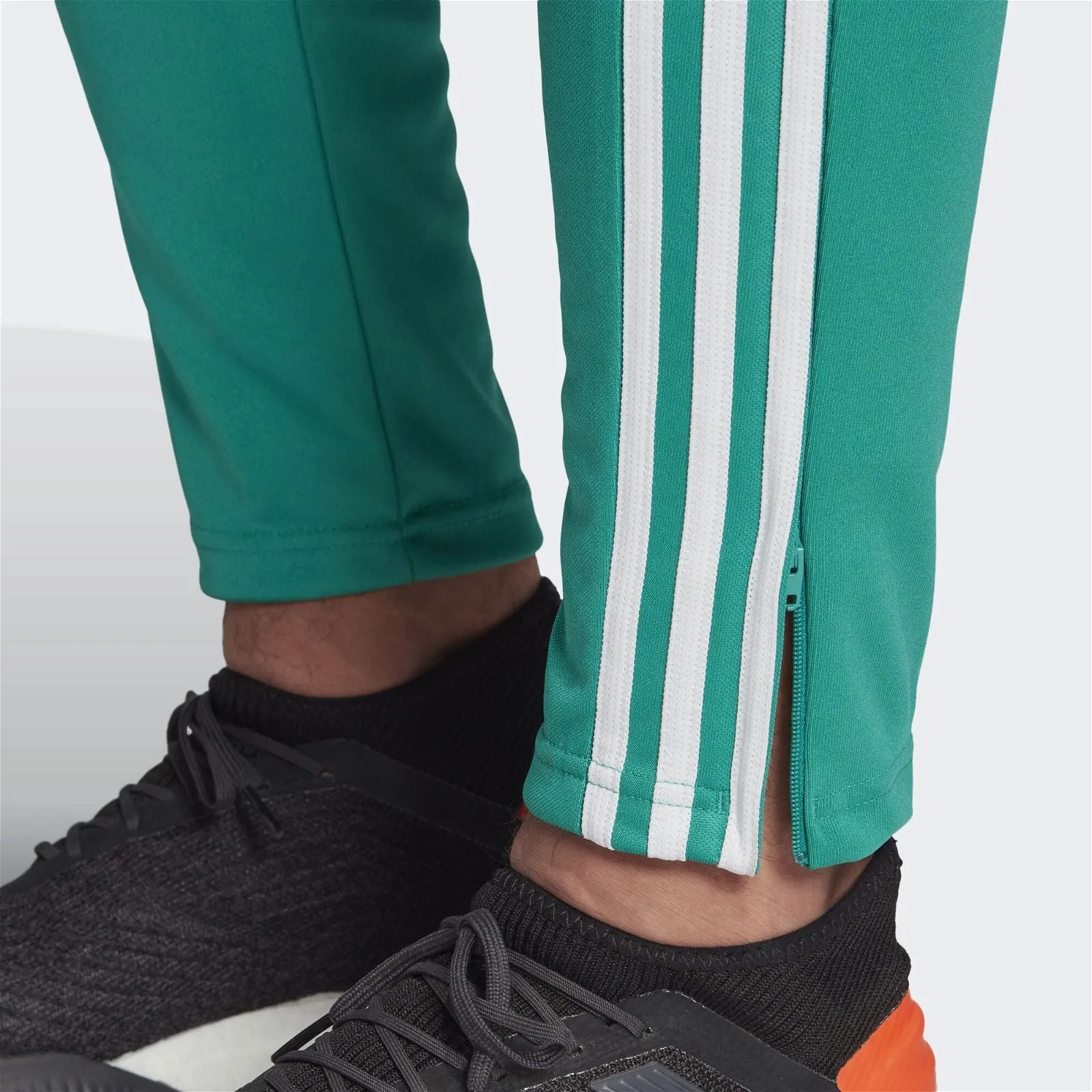 adidas Tiro 19 Training Pants - Green