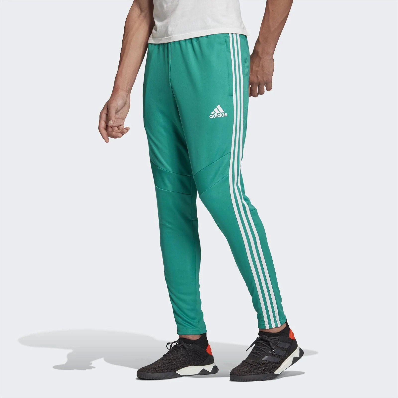 adidas Tiro 19 Training Pants - Green