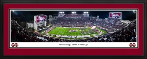 Davis Wade Stadium Night Panorama