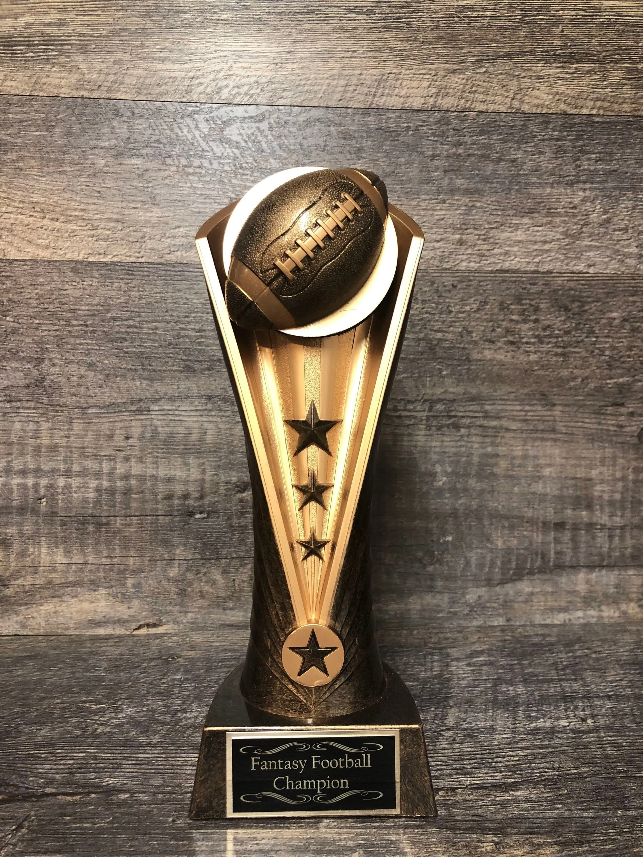 Fantasy Football Trophy Award 10.5" Trophy Fantasy Football League Champion Trophy Award Bragging Rights